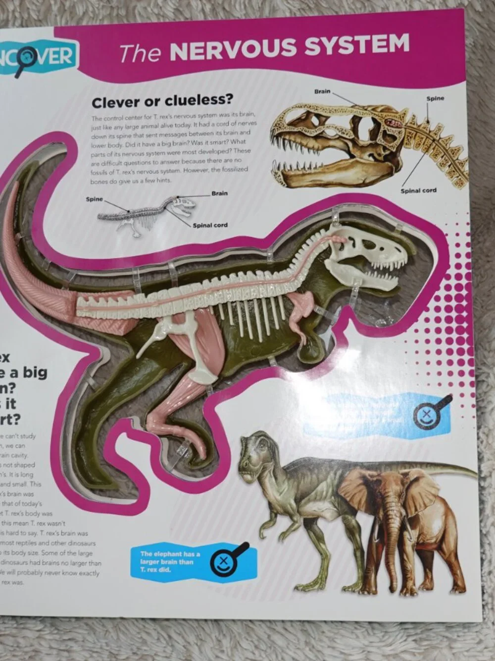 Uncover a T.Rex Hardcover 3D Book and Model